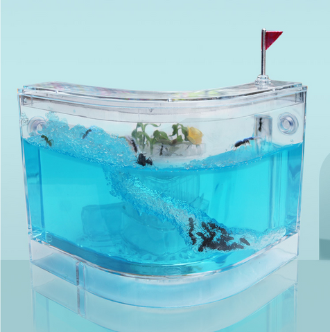 Ant Farm Castle Observation Habitat - No Live Ants Included - main product photo